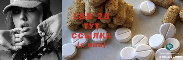 стаф Вязьма