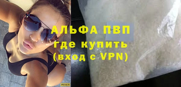 стаф Вязьма