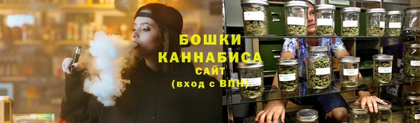 стаф Вязьма