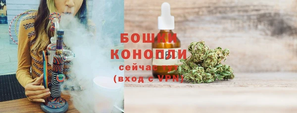стаф Вязьма