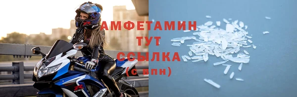 стаф Вязьма