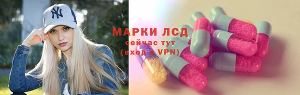 стаф Вязьма