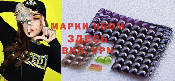 стаф Вязьма