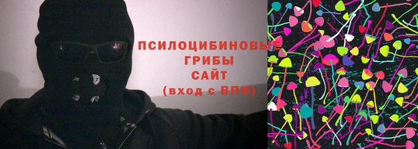 стаф Вязьма
